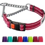 Jfkjg - collier de chien rflchissant colliers martingale boucle a dgagement latral formation de la ...