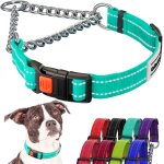 Jfkjg - collier réfléchissant pour chien colliers martingale boucle a dégagement latéral chaîne d'entraînement ... Jfkjg - collier réfléchissant pour chien colliers martingale boucle a dégagement latéral chaîne d'entraînement ...