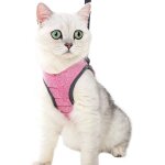 Jfkjg - harnais pour chat - ensemble de harnais et laisse chat ultra - léger harnais chaton réglable ... Jfkjg - harnais pour chat - ensemble de harnais et laisse chat ultra - léger harnais chaton réglable ...