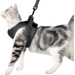 Jfkjg - harnais pour chat - ensemble de harnais et laisse chat ultra - léger harnais chaton réglable ... Jfkjg - harnais pour chat - ensemble de harnais et laisse chat ultra - léger harnais chaton réglable ...