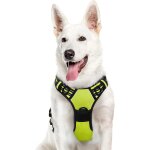 Jfkjg - homeinâ® harnais anti - traction et anti - etouffement en tissu oxford pour chien, doté de bandes ... Jfkjg - homeinâ® harnais anti - traction et anti - etouffement en tissu oxford pour chien, doté de bandes ...