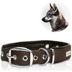 Jfkjg - ® trioflex collier pour chien en cuir - confortable et résistant pour chiots et chiens de toutes ... Jfkjg - ® trioflex collier pour chien en cuir - confortable et résistant pour chiots et chiens de toutes ...