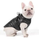 Jgd - chien chat manteaux vestes chiens sous - ventre harnais attach� chaud gilet hiver r�fl�chissant ...