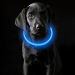 Jgd - collier lumineux pour chien usb rechargeable, collier chien lumineux imperm�able avec 3 modes de ...