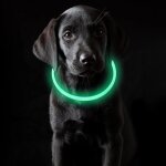 Jgd - collier lumineux pour chien usb rechargeable, collier chien lumineux imperm�able avec 3 modes de ...