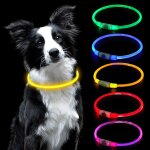 Jgd - collier lumineux a led pour chien - rechargeable par usb - longueur r�glable - collier de s�curit� ...