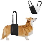 Jgd - harnais pour chien handicap�, harnais r�glable pour chien, aide a la marche, cuir pu imperm�able ...