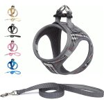 Jgd - harnais chien et laisse - respirant - r�fl�chissant - step - in harnais pour chiens, gilet rembourr� ...