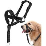 Jgd - licol chien, harnais anti - traction r�glable museli�re chien avec muserolle rembourr�e, dog headcollars ...