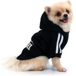 Jgd - qicheng & lys manteau chien petite taille, chat a capuche, pull petit chien chihuahua (noir, large) ...