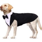 Jgd - smoking formel pour chien, set costume e bandana pour mariage shirt avec n?ud papillon v�tements ...