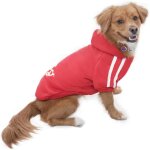 Jgd - sweat a capuche chaud coton sweatshirt pour chiens pet pull v�tements veste pour chien manteau ...
