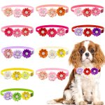 Jolis n?uds de fleurs pour chiens et chats, pétales de couleurs mélangées, accessoires de toilettage ... Jolis n?uds de fleurs pour chiens et chats, pétales de couleurs mélangées, accessoires de toilettage ...