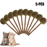 Jouet en forme de chat argent 5 pices jouet en forme de chat naturel pur, dentifrice molar, branche ...