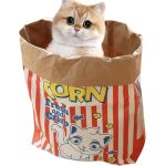 Jouet interactif pour chat, jouet pour chien a cacher, jeu avec chat, sac en papier kraft de riz soufflé, ... Jouet interactif pour chat, jouet pour chien a cacher, jeu avec chat, sac en papier kraft de riz soufflé, ...