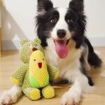 Jouet interactif a mcher pour petits et grands chiens, ours en peluche, couinant, rsistant aux morsures ...