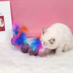 Jouet a mâcher pour chat, carotte rugby, fausse plume, interactif, coloré, 2 pièces Jouet a mâcher pour chat, carotte rugby, fausse plume, interactif, coloré, 2 pièces