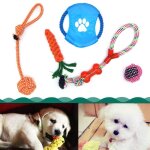 Jouets a mcher pour chiens de 5 pices pour chien chiot et petit chien moyen molaires morsure corde ...