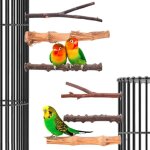 Jouets pour oiseaux en bois naturel, 6 pi�ces, perchoir en bambou, barre de meulage, cage, jouet pour ...