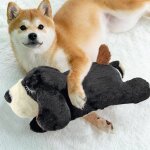 Jouet en peluche pour chien, jouet mignon, battement de coeur, confortable, soulagement de l'anxi�t�, ...