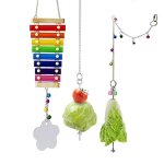 Jouets pour poules 3 pièces, jouet xylophone de poulet, mangeoire suspendue pour légumes, jouet miroir, ... Jouets pour poules 3 pièces, jouet xylophone de poulet, mangeoire suspendue pour légumes, jouet miroir, ...
