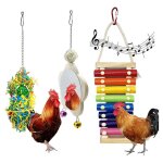 Jouets de poulet 3 pièces pour poules, jouet xylophone de poulet, jouet miroir de poulet avec clochette ... Jouets de poulet 3 pièces pour poules, jouet xylophone de poulet, jouet miroir de poulet avec clochette ...