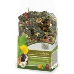 Jr farm grainless mix cochons d'inde 650 g