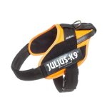 Julius k - 9 julius - k9 harnais professionnel idc - power stealth pour chien, orange fluo, taille 2 ...