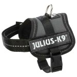 Julius - k9 - harnais baby 1 xs de 29 - 36cm pour chien - anthracite