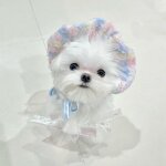 Jupe brodée a col licou pour chien, vêtements d'été pour animaux de compagnie, petit chapeau pour chat, ... Jupe brodée a col licou pour chien, vêtements d'été pour animaux de compagnie, petit chapeau pour chat, ...