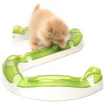 Kal - circuit de jeu pour chat, senses, races moyenne