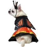 Kal - dguisement pour chien taille l papillon