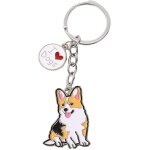 Kal - porte - cls en mtal avec mdaille d'identification pour chien