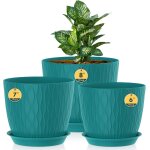 Kalanka - lot de 3 pots de fleurs avec système d'irrigation, 20, 3 cm / 17, 8 cm / 15, 2 cm, avec système ... Kalanka - lot de 3 pots de fleurs avec système d'irrigation, 20, 3 cm / 17, 8 cm / 15, 2 cm, avec système ...