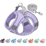 Kalanka - aiitle harnais pour chien anti - evasion, gilet anti - traction avec laisse, maille respirante, ... Kalanka - aiitle harnais pour chien anti - evasion, gilet anti - traction avec laisse, maille respirante, ...