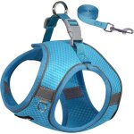 Kalanka - aiitle harnais pour chien de taille moyenne, gilet anti - traction pour chien avec laisse, ... Kalanka - aiitle harnais pour chien de taille moyenne, gilet anti - traction pour chien avec laisse, ...