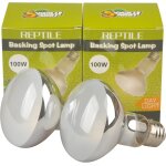 Kalanka - ampoule chauffante pour spots pour reptiles, paquet de 2 (100, watts)