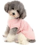 Kalanka - chemises pour petit chien chat t - shirt rayé d'été cool en coton doux vêtement pour chihuahua ... Kalanka - chemises pour petit chien chat t - shirt rayé d'été cool en coton doux vêtement pour chihuahua ...