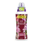 Kalanka - engrais liquide plantes méditérannéenes fleuries, bougainvilliers et lauriers roses, utilisable ... Kalanka - engrais liquide plantes méditérannéenes fleuries, bougainvilliers et lauriers roses, utilisable ...