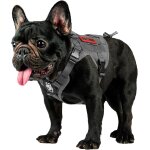 Kalanka - fire watcher - harnais tactique pour chien - molle - avec 1 poignée et 2 anneaux en d sans ... Kalanka - fire watcher - harnais tactique pour chien - molle - avec 1 poignée et 2 anneaux en d sans ...