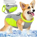 Kalanka - gilet rafraichissant pour chien, manteau rafraichissant pour chien, gilet rafraichissant chien ... Kalanka - gilet rafraichissant pour chien, manteau rafraichissant pour chien, gilet rafraichissant chien ...