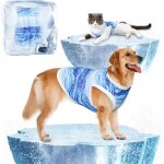 Kalanka - gilet rafrachissant pour chien, refroidissement, t - shirt respirant, harnais gilet rfrigrant, ...