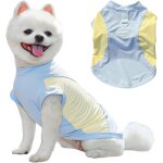Kalanka - gilet rafraichissant pour chien, t - shirt d't respirant avec anneau en d pour chiot a schage ...