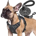 Kalanka - haapaw harnais tactique robuste pour chiens de petite taille, anti - traction, réglable, réfléchissa ... Kalanka - haapaw harnais tactique robuste pour chiens de petite taille, anti - traction, réglable, réfléchissa ...