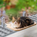 Kalanka - hamac elgant pour chat pliable u2013 chaise longue en peluche pour chat avec housse epaisse ...