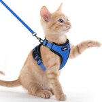 Kalanka - harnais chat anti evasion avec laisse bleu xxs, harnais chaton petit chien réglable, collier ... Kalanka - harnais chat anti evasion avec laisse bleu xxs, harnais chaton petit chien réglable, collier ...