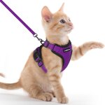 Kalanka - harnais chat anti evasion avec laisse violet xxs, harnais chaton petit chien réglable, collier ... Kalanka - harnais chat anti evasion avec laisse violet xxs, harnais chaton petit chien réglable, collier ...
