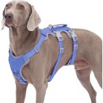 Kalanka - harnais pour chien anti - fugue escape proof, entièrement réfléchissant avec poignée rembourrée, ... Kalanka - harnais pour chien anti - fugue escape proof, entièrement réfléchissant avec poignée rembourrée, ...