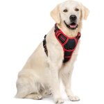Kalanka - harnais chien anti traction, arnet pour chiens avec poignée contrôl, facile a mettre, gilet ... Kalanka - harnais chien anti traction, arnet pour chiens avec poignée contrôl, facile a mettre, gilet ...