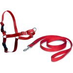 Kalanka - harnais easy walk avec boucle anti - traction et laisse de 1, 8 m, promenade confortable pour ... Kalanka - harnais easy walk avec boucle anti - traction et laisse de 1, 8 m, promenade confortable pour ...
